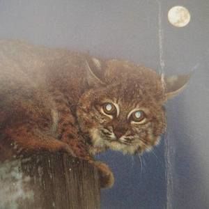 Meet your Posher, Stephen